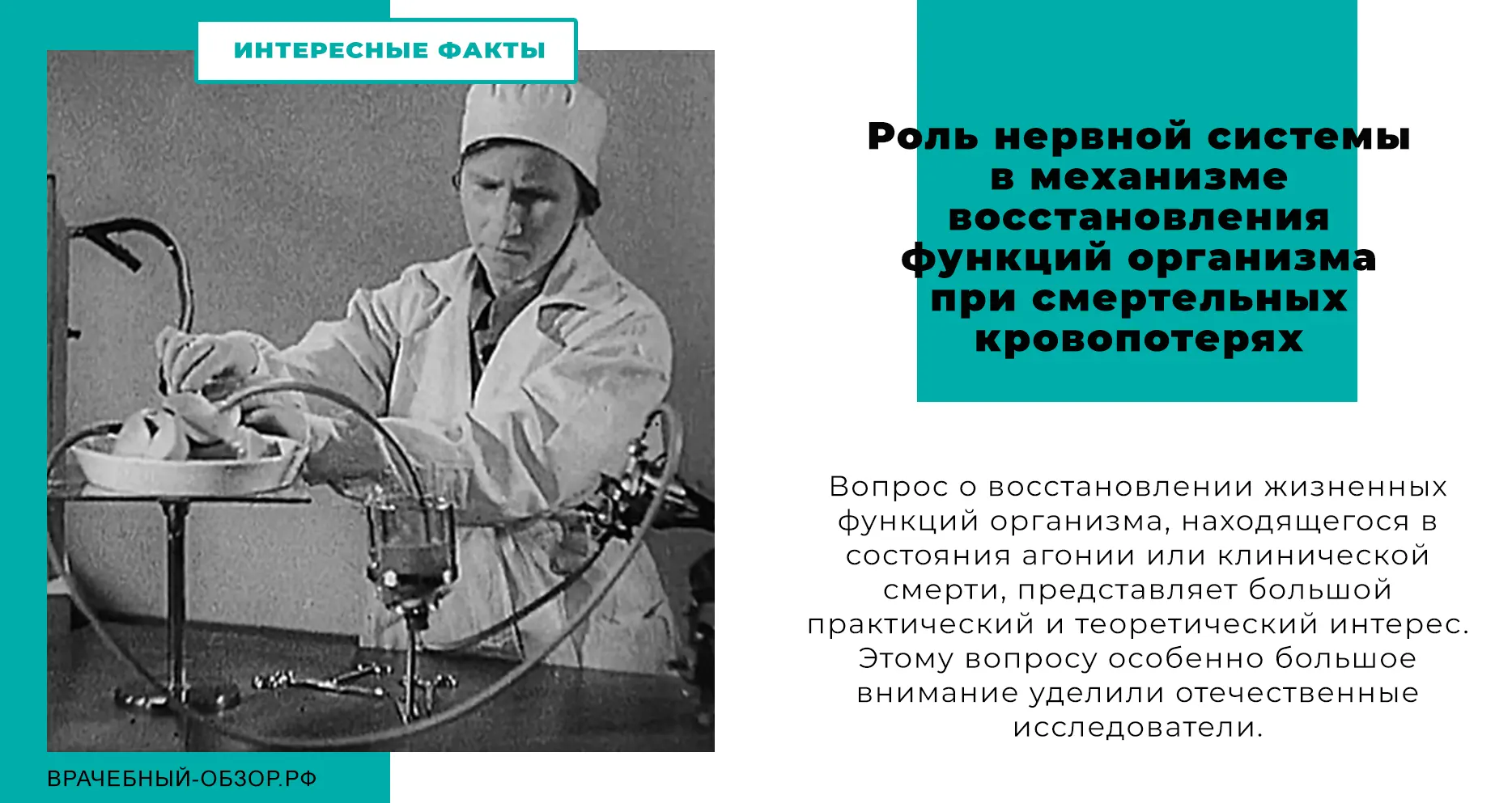 Роль нервной системы в механизме восстановления функций организма при смертельных кровопотерях