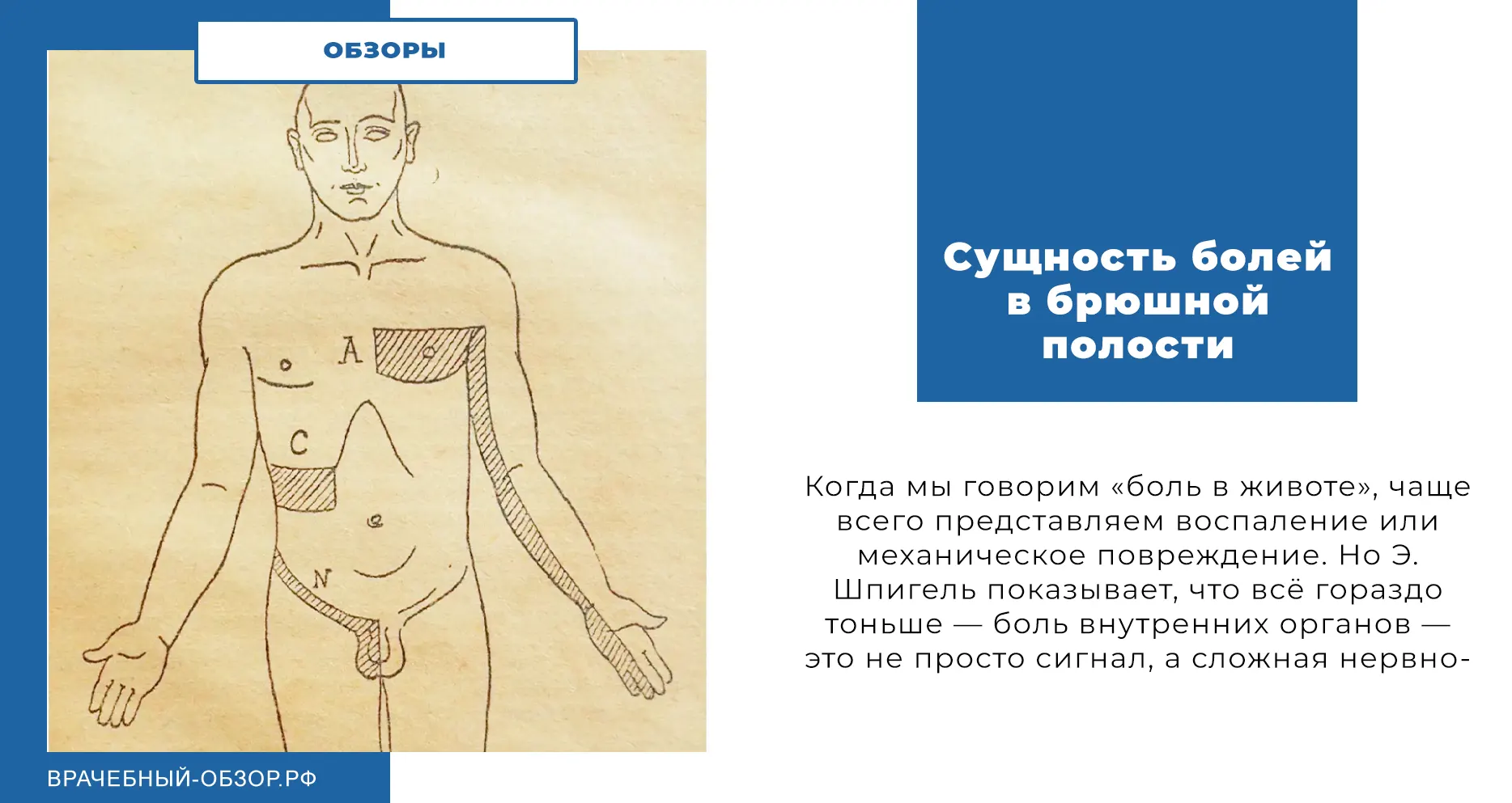 Сущность болей в брюшной полости и сопутствующих  явлений