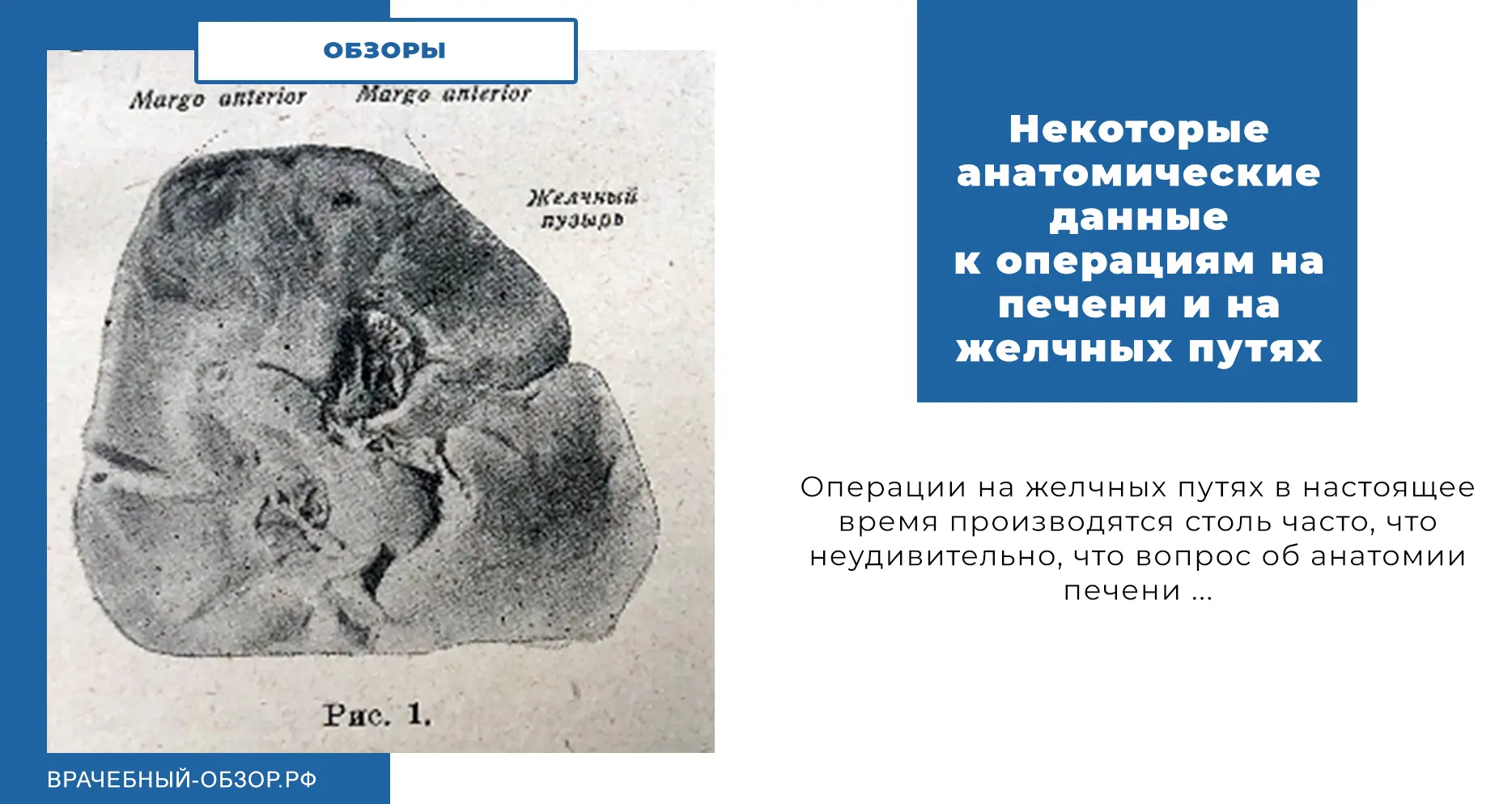Некоторые анатомические данные к операциям на печени и на желчных путях