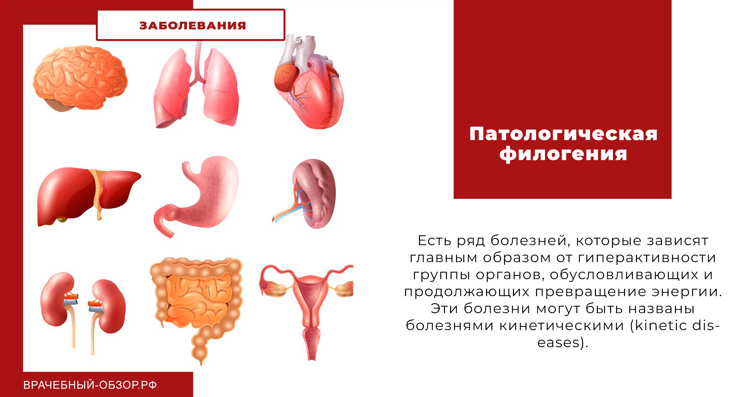 Патологическая филогения