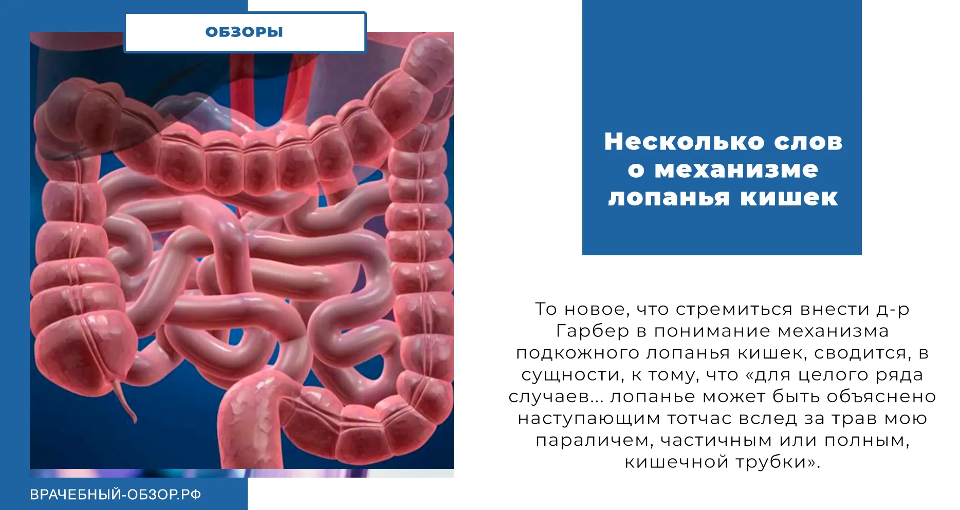 Несколько слов о механизме лопанья кишек