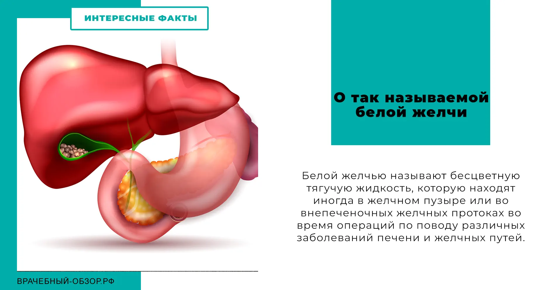 О так называемой белой желчи