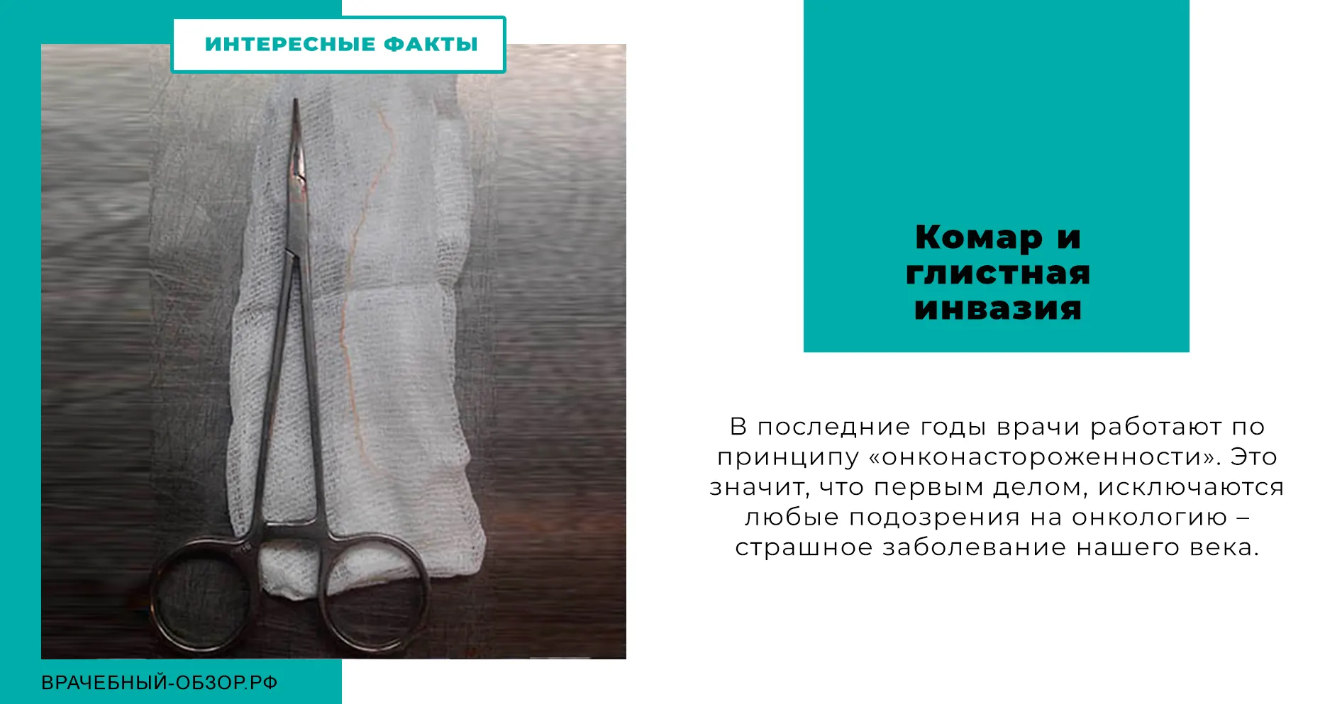 Комар и глистная инвазия
